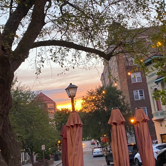 Meet your Posher, Avanni - Picture 1 of 1